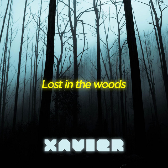 Lost in the woods - Xavier